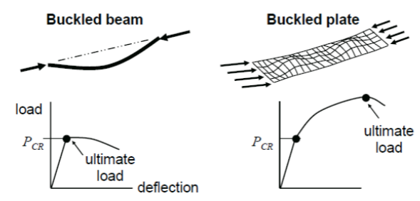 buckling of struts experiment