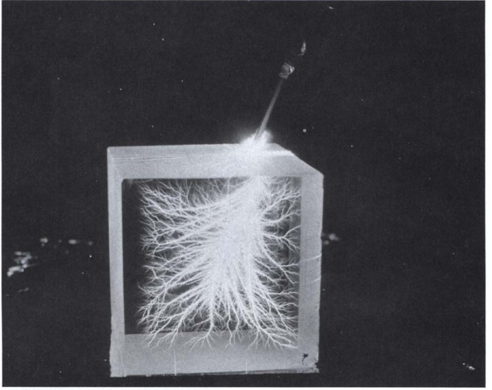 Understanding Capacitance and Dielectrics